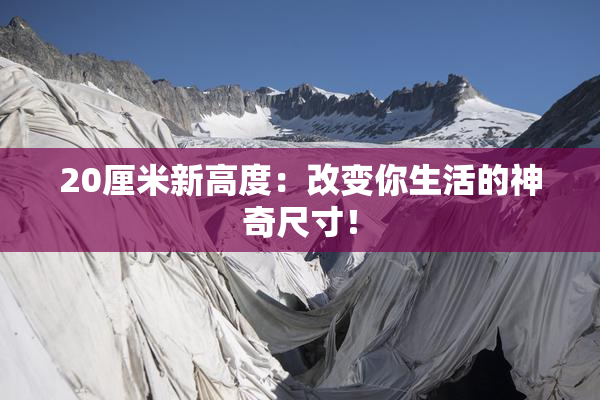 20厘米新高度：改变你生活的神奇尺寸！