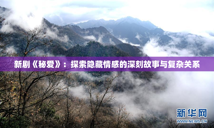 新剧《秘爱》：探索隐藏情感的深刻故事与复杂关系
