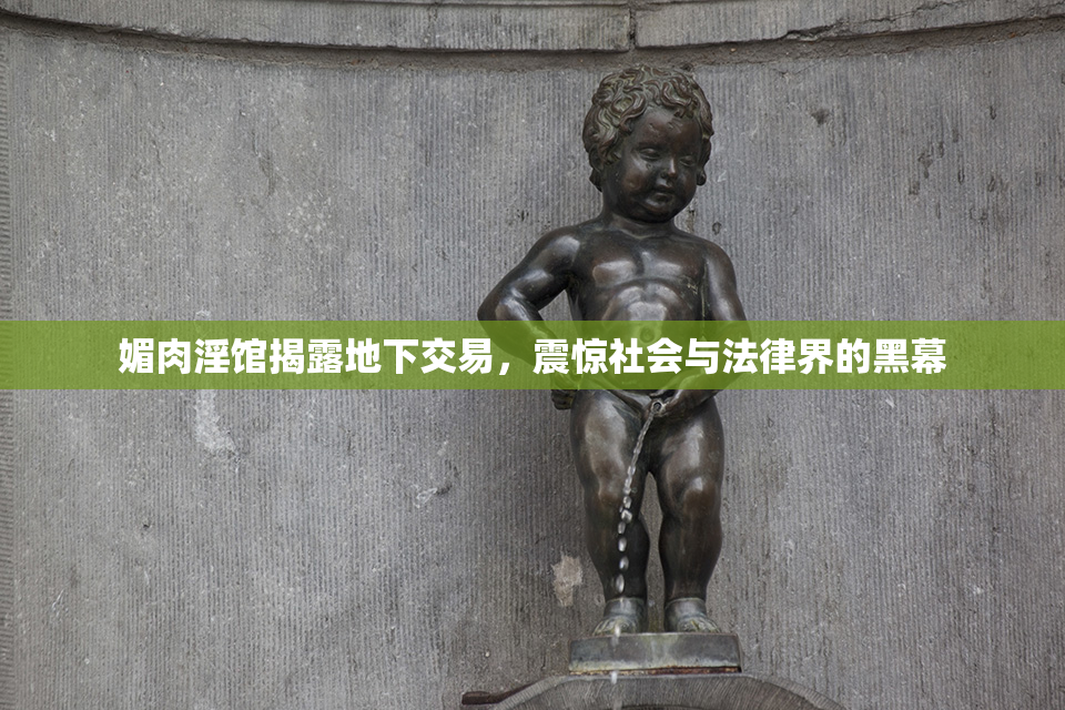 媚肉淫馆揭露地下交易，震惊社会与法律界的黑幕