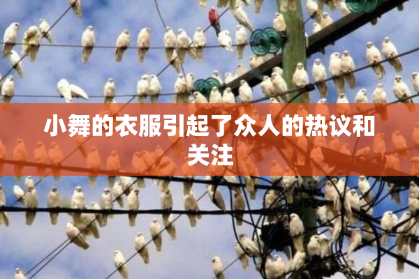小舞的衣服引起了众人的热议和关注