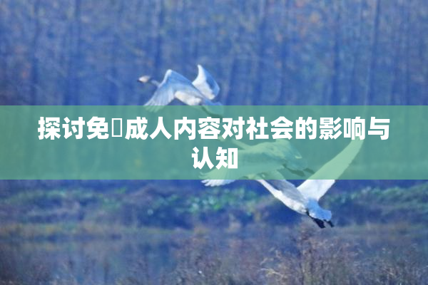 探讨免費成人内容对社会的影响与认知