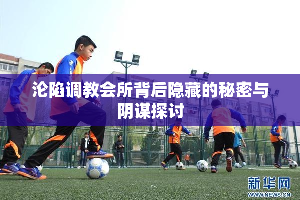 沦陷调教会所背后隐藏的秘密与阴谋探讨