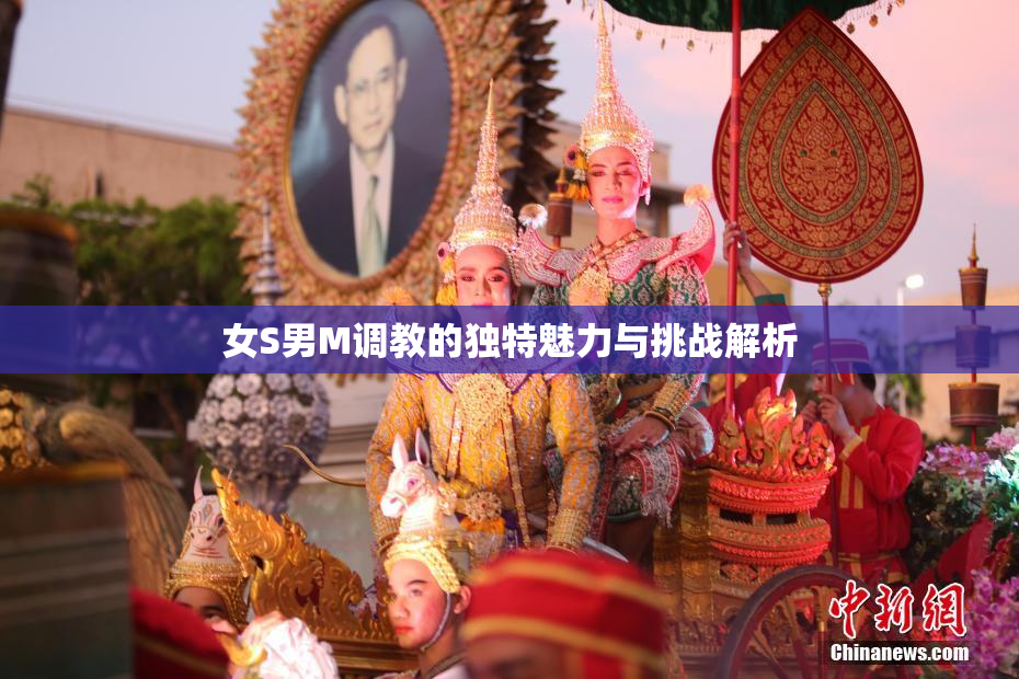 女S男M调教的独特魅力与挑战解析