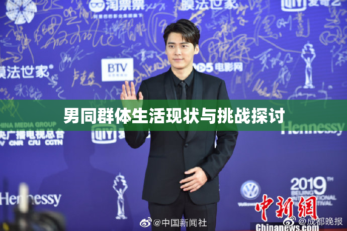 男同群体生活现状与挑战探讨