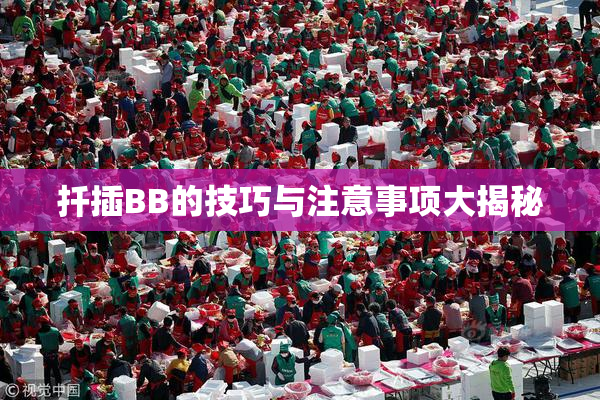 扦插BB的技巧与注意事项大揭秘