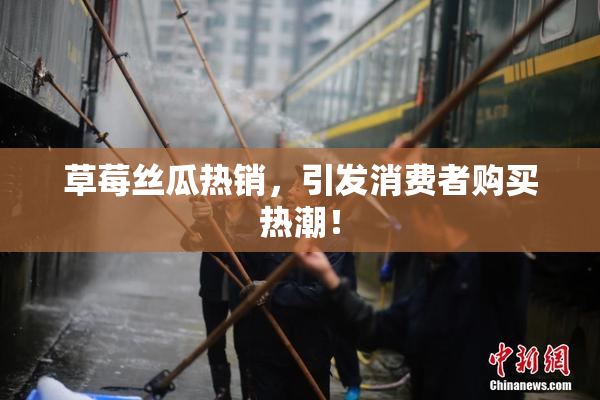 草莓丝瓜热销，引发消费者购买热潮！