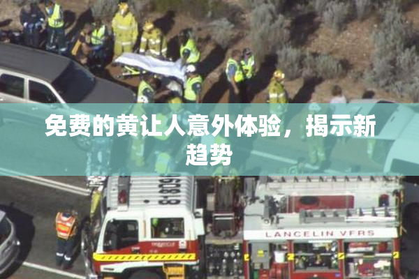 免费的黄让人意外体验，揭示新趋势
