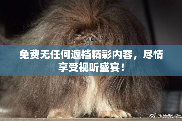免费无任何遮挡精彩内容，尽情享受视听盛宴！