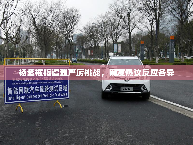 杨紫被指遭遇严厉挑战，网友热议反应各异