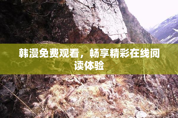韩漫免费观看，畅享精彩在线阅读体验