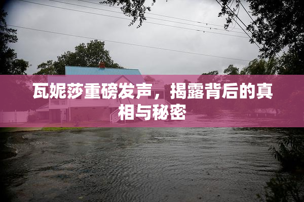 瓦妮莎重磅发声，揭露背后的真相与秘密