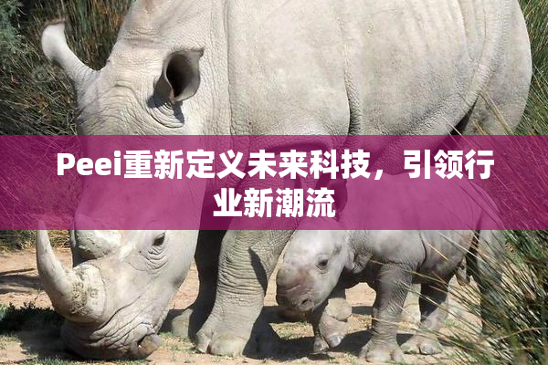 Peei重新定义未来科技，引领行业新潮流
