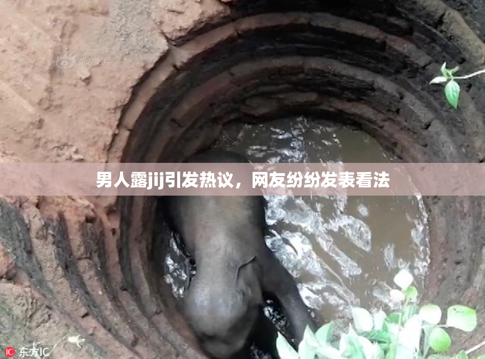男人露jij引发热议，网友纷纷发表看法