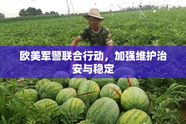 欧美军警联合行动，加强维护治安与稳定