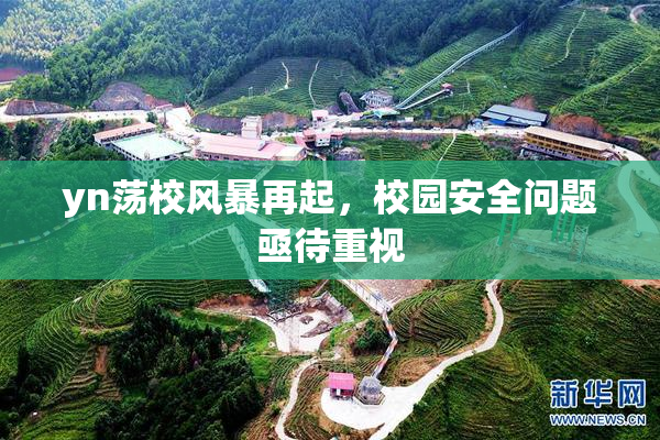 yn荡校风暴再起，校园安全问题亟待重视