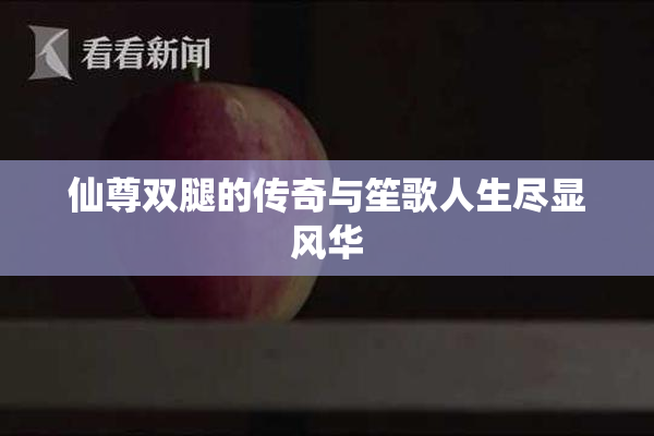 仙尊双腿的传奇与笙歌人生尽显风华