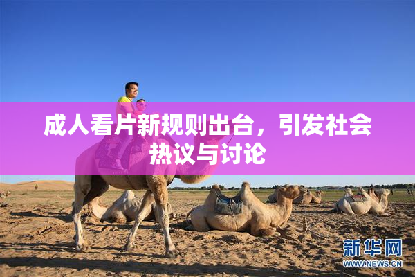 成人看片新规则出台，引发社会热议与讨论
