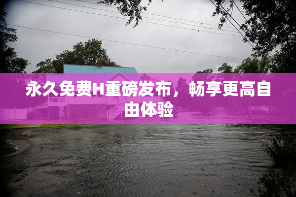 永久免费H重磅发布，畅享更高自由体验