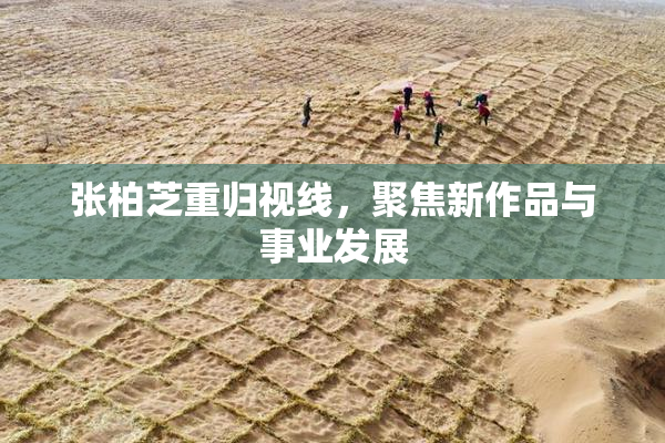 张柏芝重归视线，聚焦新作品与事业发展
