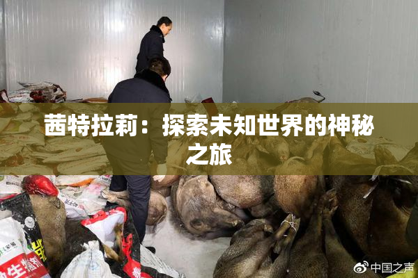 茜特拉莉：探索未知世界的神秘之旅