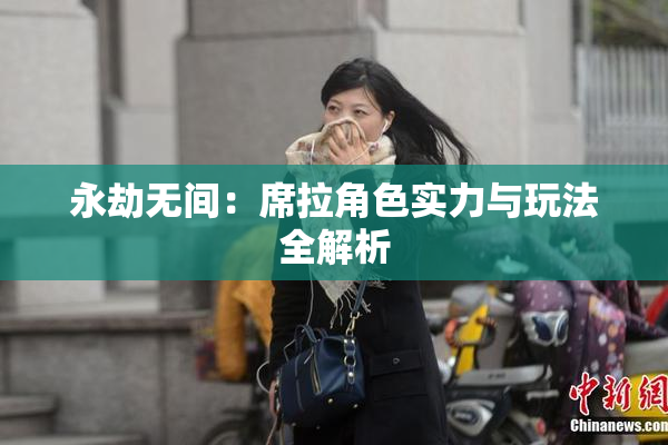 永劫无间：席拉角色实力与玩法全解析