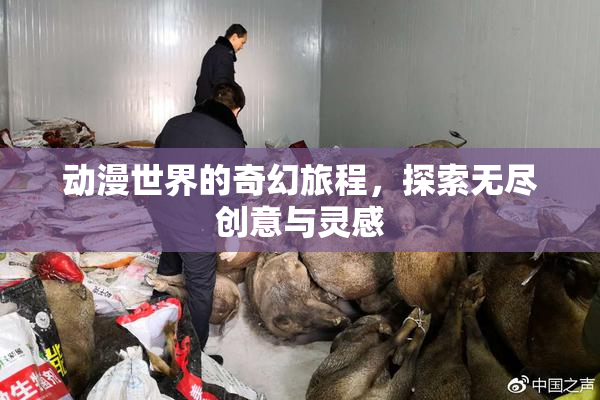 动漫世界的奇幻旅程，探索无尽创意与灵感