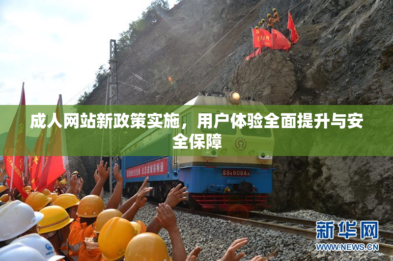 成人网站新政策实施，用户体验全面提升与安全保障