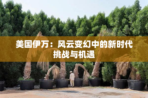 美国伊万：风云变幻中的新时代挑战与机遇