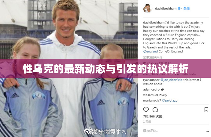 性乌克的最新动态与引发的热议解析