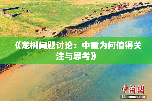 《龙树问题讨论：中重为何值得关注与思考》