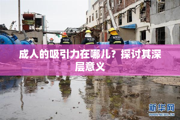 成人的吸引力在哪儿？探讨其深层意义