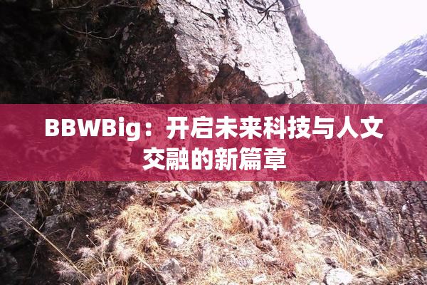 BBWBig：开启未来科技与人文交融的新篇章