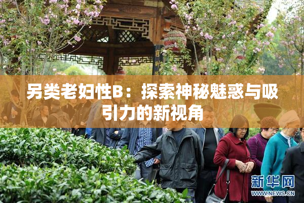 另类老妇性B：探索神秘魅惑与吸引力的新视角