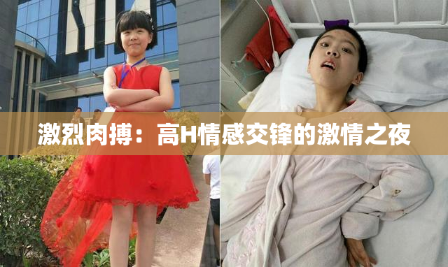 激烈肉搏：高H情感交锋的激情之夜