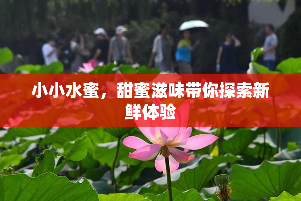 小小水蜜，甜蜜滋味带你探索新鲜体验