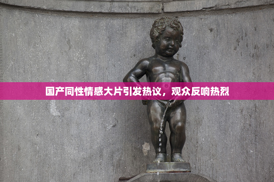 国产同性情感大片引发热议，观众反响热烈