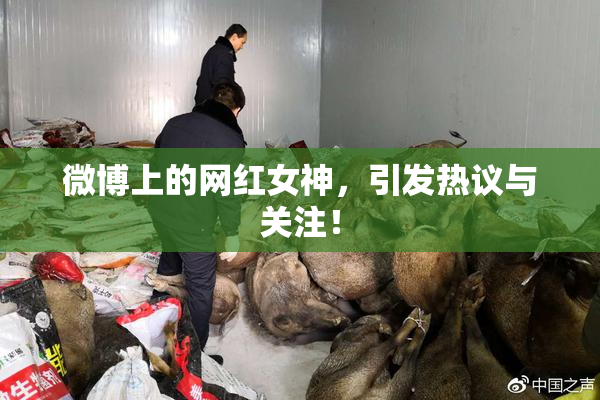 微博上的网红女神，引发热议与关注！