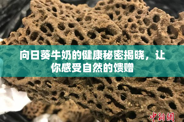 向日葵牛奶的健康秘密揭晓，让你感受自然的馈赠