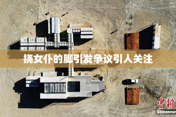 挠女仆的脚引发争议引人关注