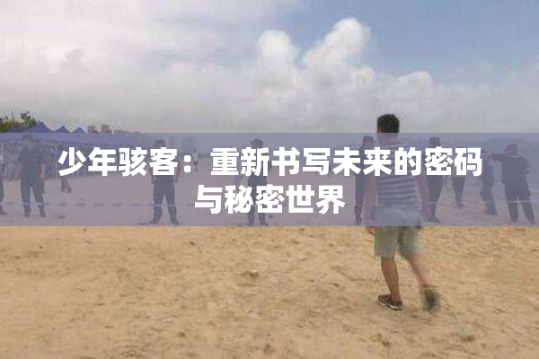少年骇客：重新书写未来的密码与秘密世界