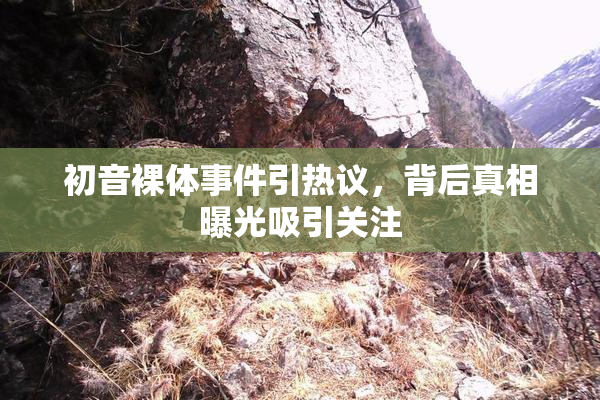初音裸体事件引热议，背后真相曝光吸引关注
