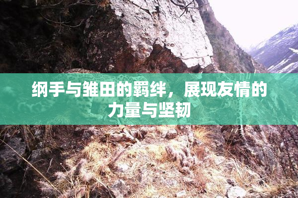纲手与雏田的羁绊，展现友情的力量与坚韧
