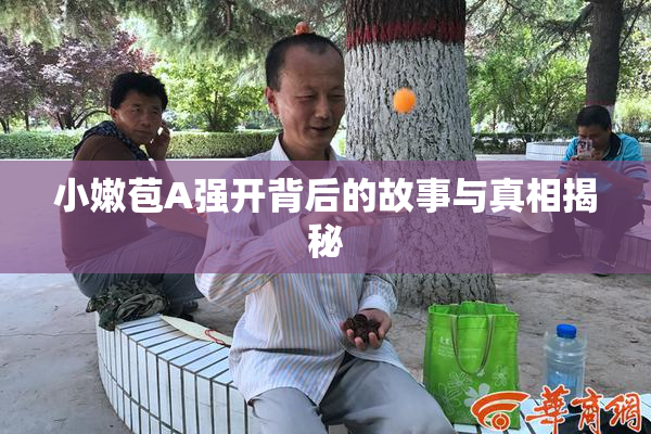 小嫩苞A强开背后的故事与真相揭秘