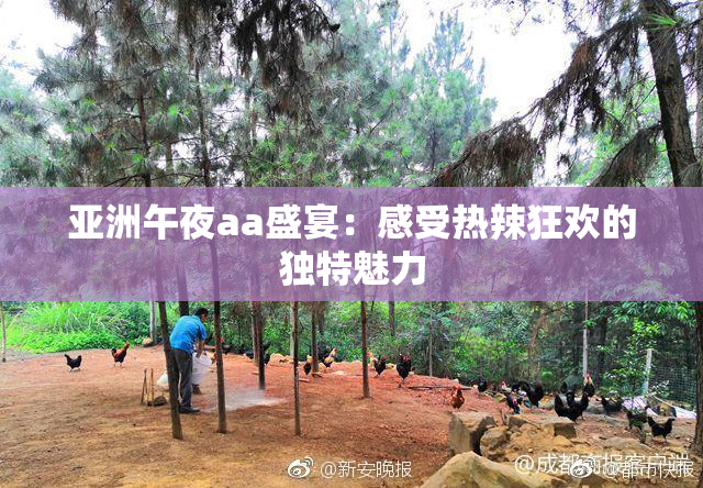 亚洲午夜aa盛宴：感受热辣狂欢的独特魅力