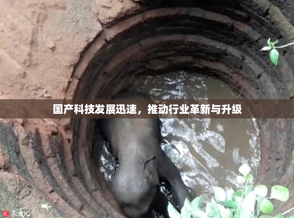 国产科技发展迅速，推动行业革新与升级