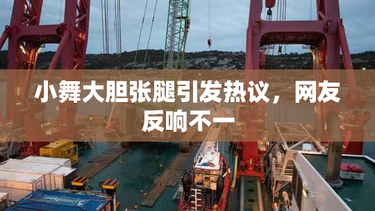 小舞大胆张腿引发热议，网友反响不一