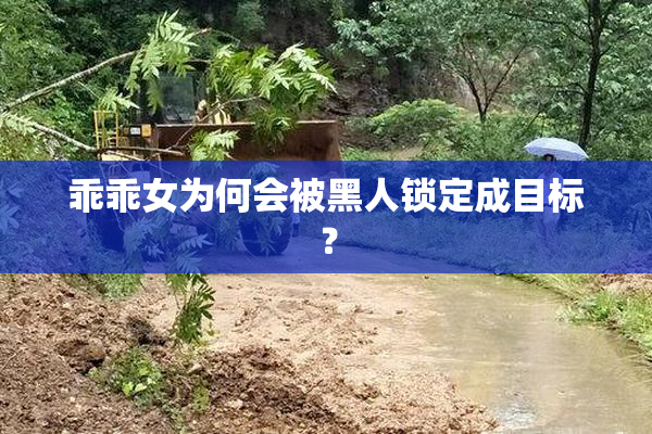 乖乖女为何会被黑人锁定成目标？
