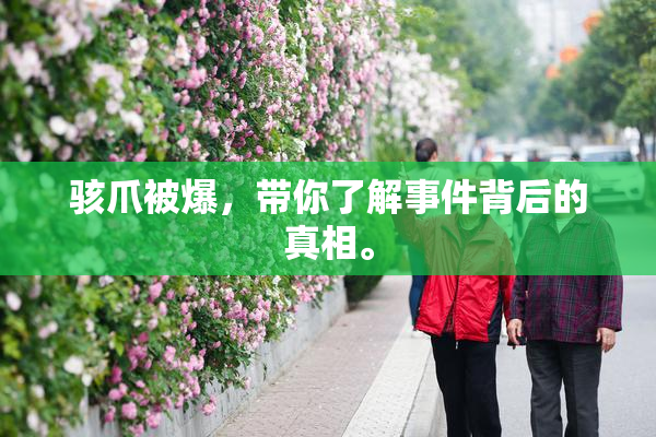 骇爪被爆，带你了解事件背后的真相。