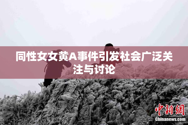同性女女黄A事件引发社会广泛关注与讨论