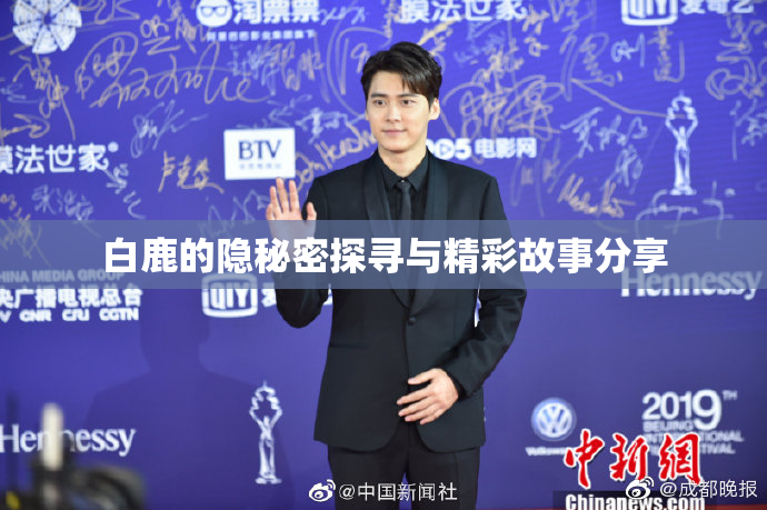 白鹿的隐秘密探寻与精彩故事分享